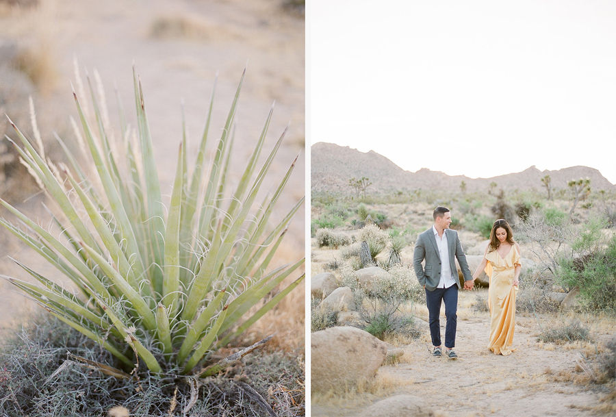 The Best Northern California Micro Wedding Venues - Joshua Tree