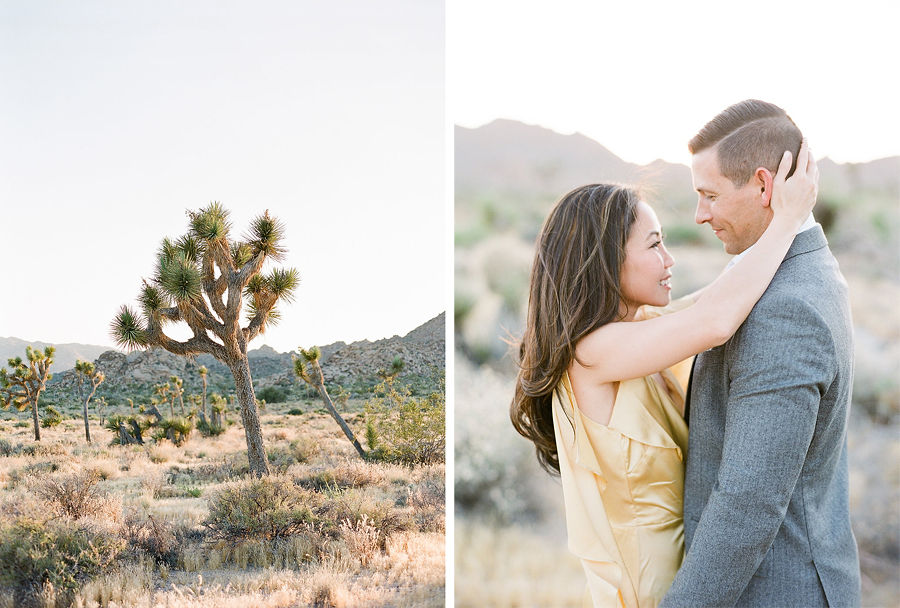 Micro wedding in Joshua Tree