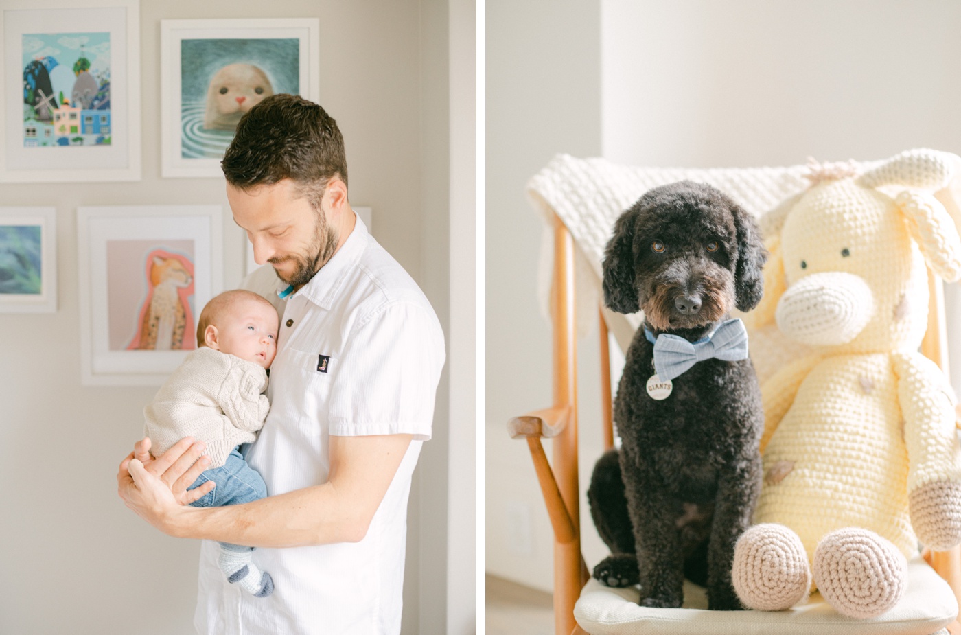 Dog in a blue bow tie for family session